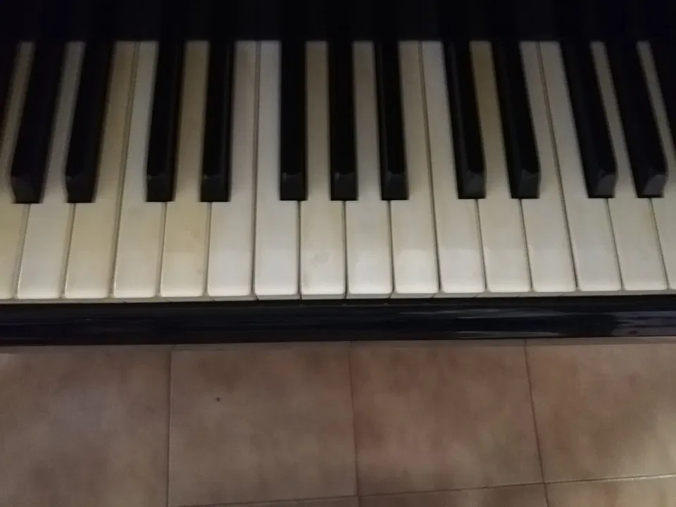 Kawai KG-6C – 225 cm – 1978 – numer seryjny 1014590P - Zdjęcie 3 z 6