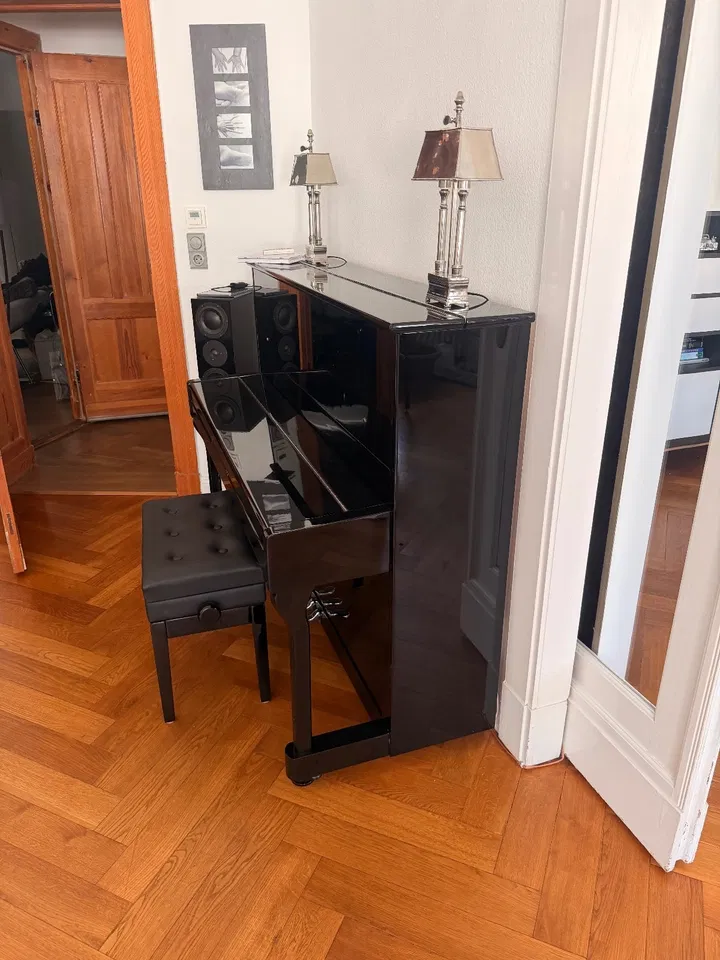 Trautwein-piano - Afbeelding 3 van 6
