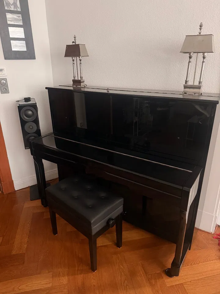 Trautwein-piano - Afbeelding 6 van 6