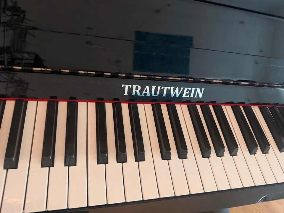 Trautwein-piano - Afbeelding 5 van 6