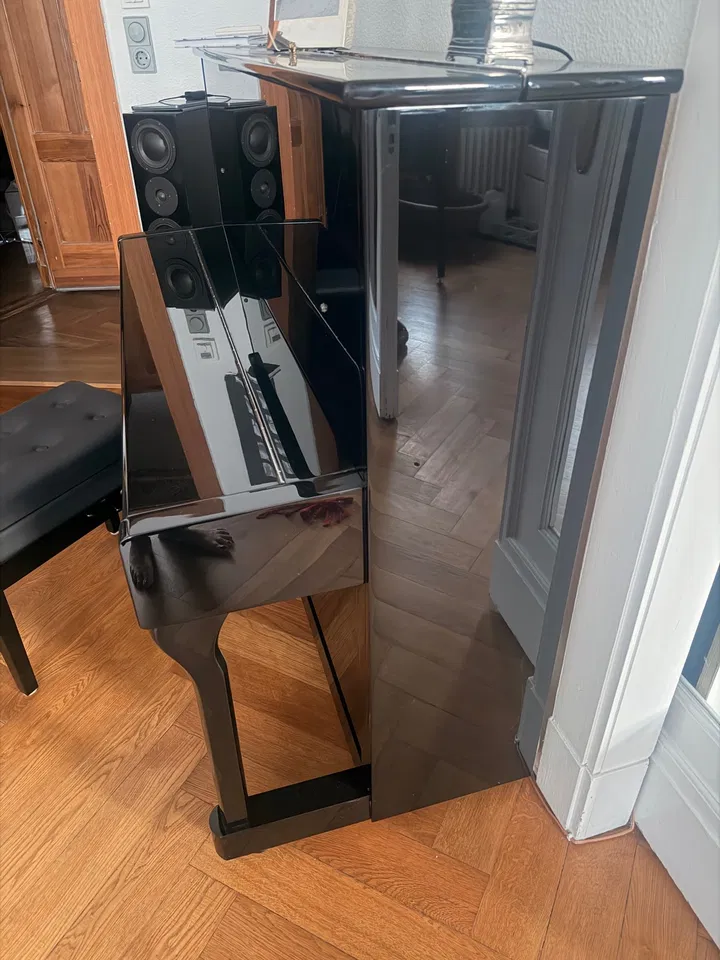 Trautwein-piano - Afbeelding 2 van 6