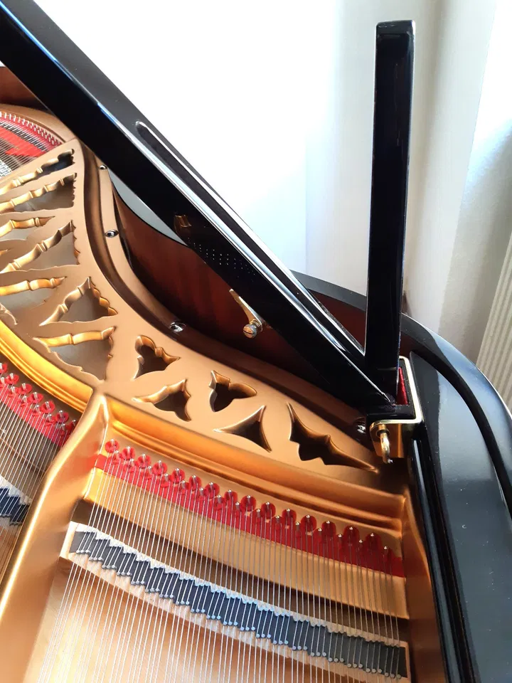 Piano de cola de salón Seiler 195 - Imagen 10 de 11