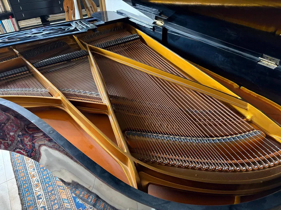 Fortepian Grotrian-Steinweg, rok produkcji 1926, czarny, 185 cm – 4 900 € do negocjacji - Zdjęcie 6 z 6
