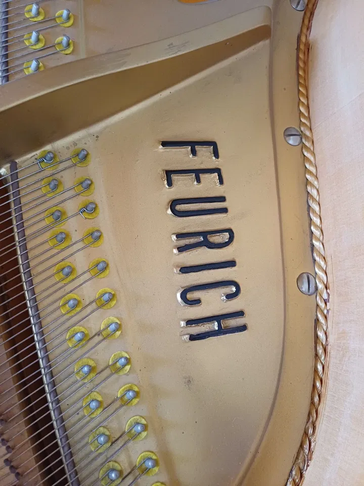 Pianoforte a coda Feurich - Immagine 3 di 4