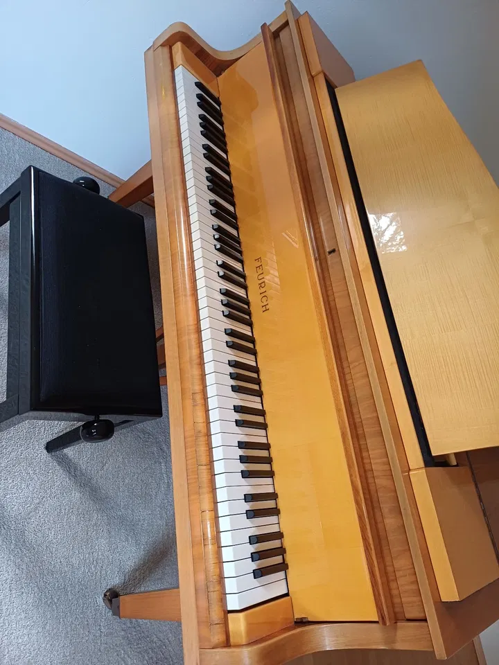 Pianoforte a coda Feurich - Immagine 2 di 4