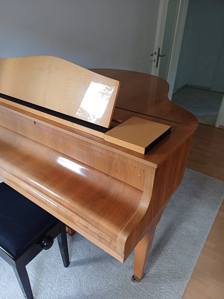 Pianoforte a coda Feurich - Immagine 4 di 4