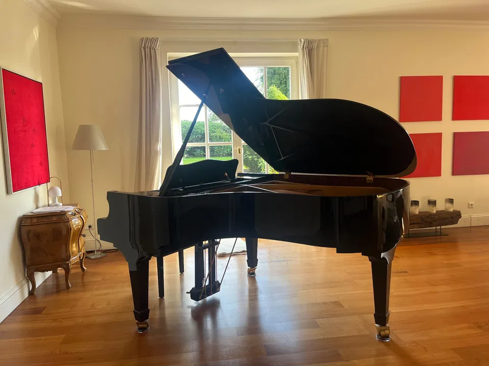 Pianoforte a coda W. Hoffmann V 183 - Immagine 4 di 6