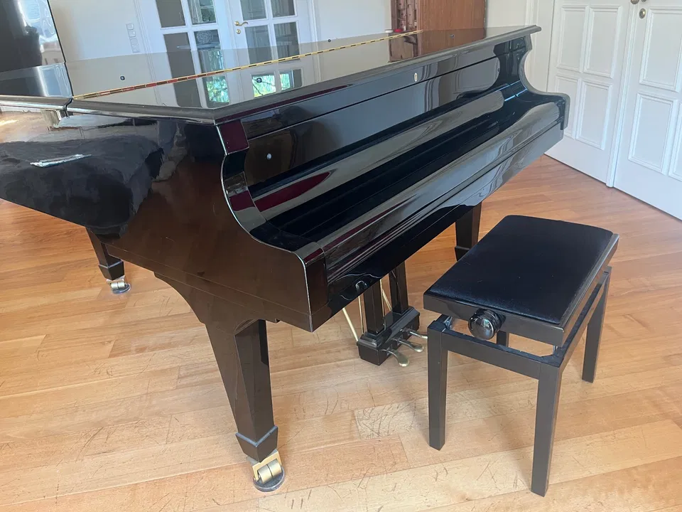 Pianoforte a coda W. Hoffmann V 183 - Immagine 5 di 6