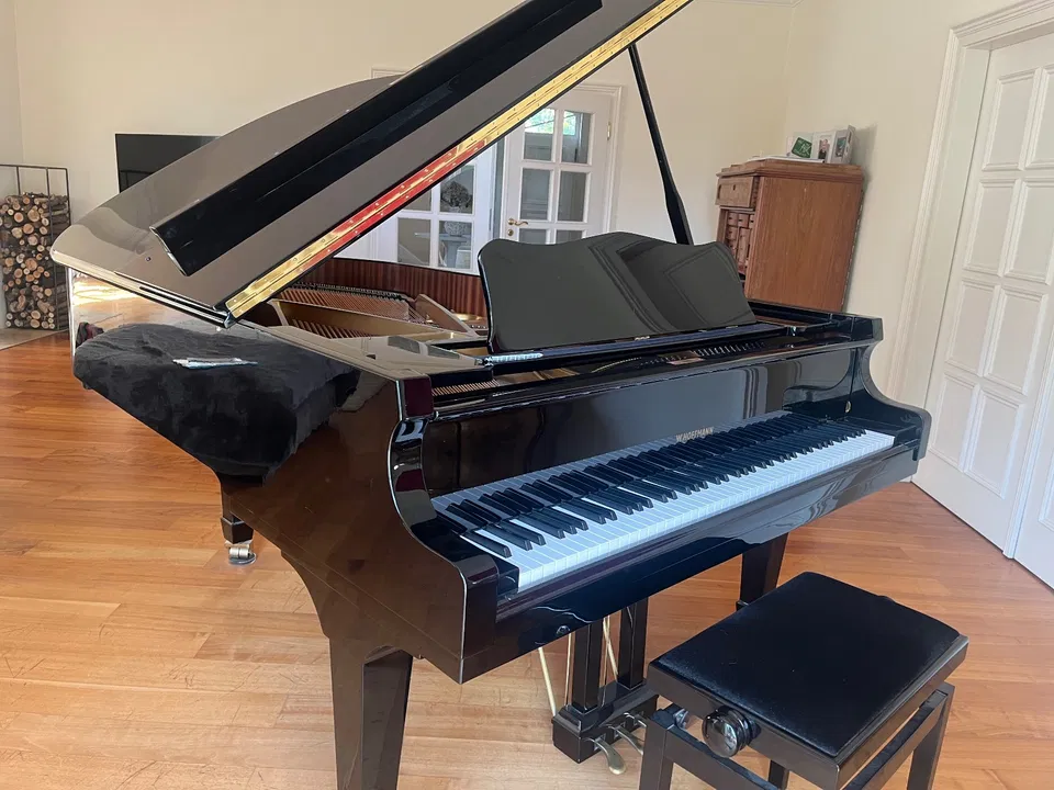 Pianoforte a coda W. Hoffmann V 183 - Immagine 3 di 6