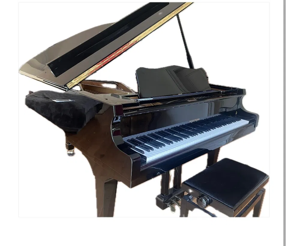 Pianoforte a coda W. Hoffmann V 183 - Immagine 1 di 6