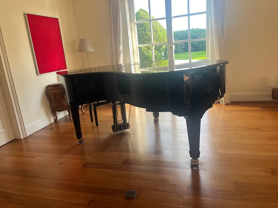 Pianoforte a coda W. Hoffmann V 183 - Immagine 6 di 6