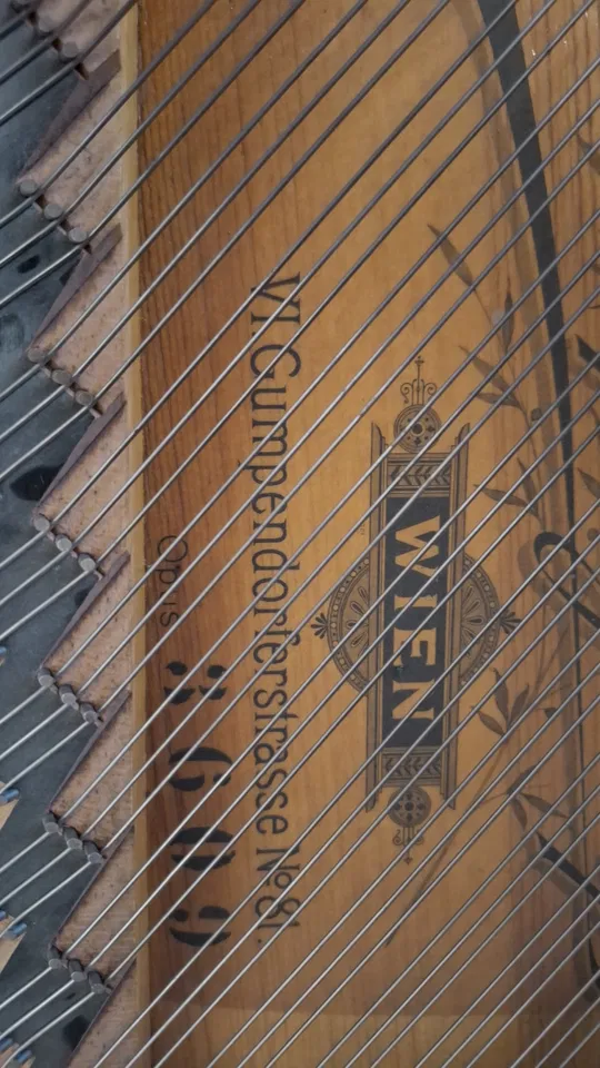 Storico pianoforte a coda viennese – Josef & Adolf Gössl – 168 cm - Immagine 5 di 6